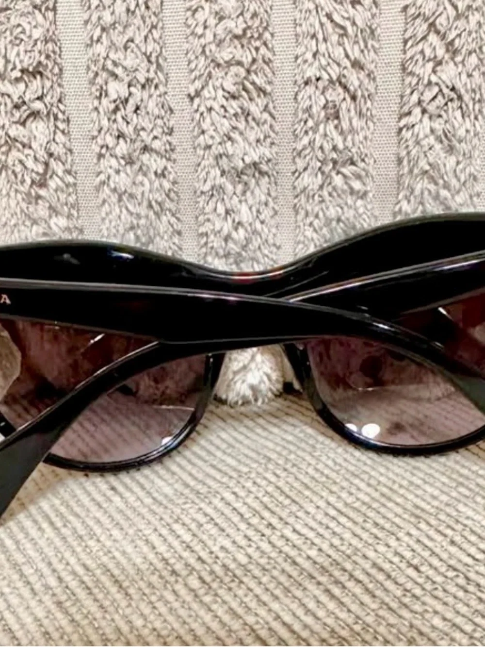 Prada Black Cat-Eye Sunglasses with Purple Crystal Trim